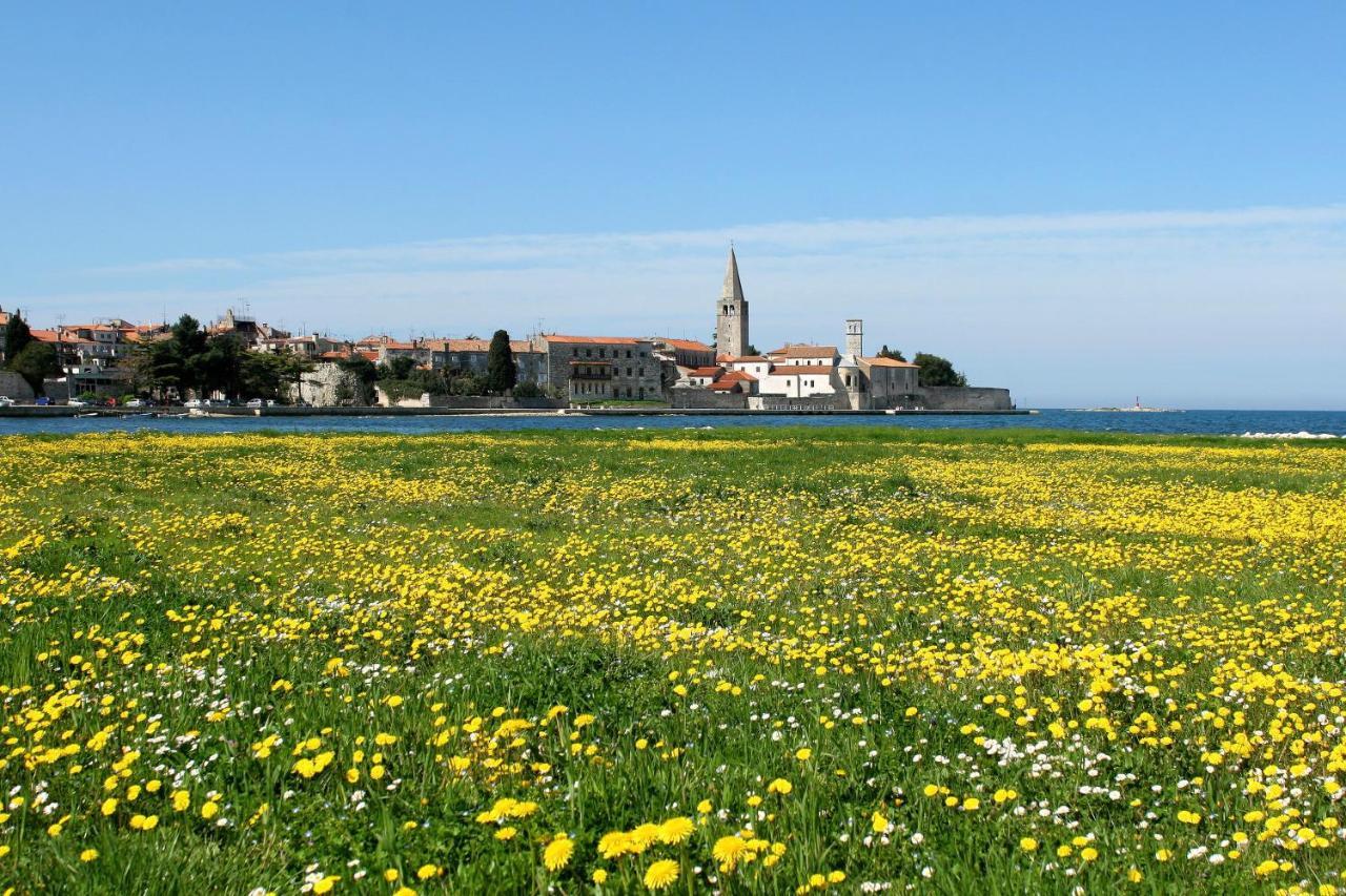Villa Vita In Porec - Haus Fuer 6-8 Personen Kaštelir Dış mekan fotoğraf
